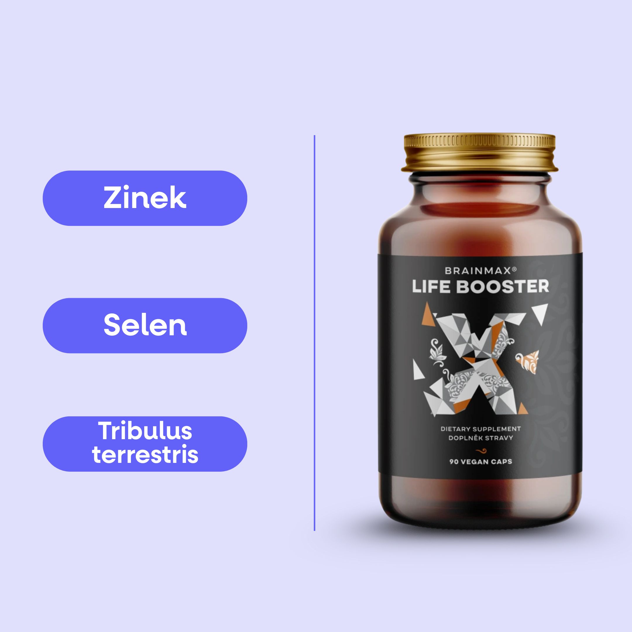 2life grafika